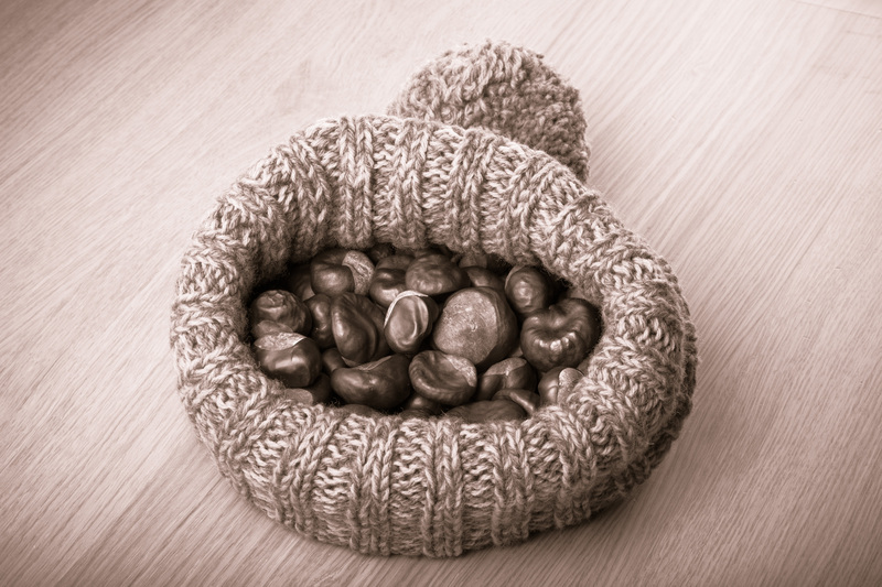 Enhancing School Recycling Efforts